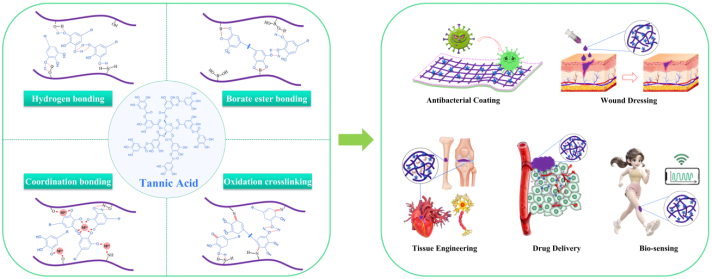 喜讯！9428cn太阳集团古天乐刘阳课题组本科生在知名期刊Chemical Engineering Journal发表重要综述论文